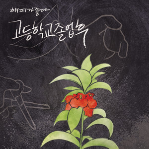 고등학교 졸업 후