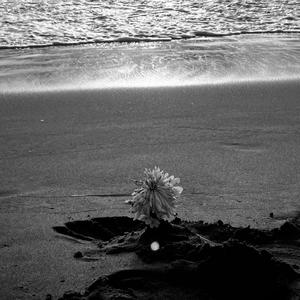 siempre que llegue septiembre