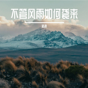 不管风雨如何袭来