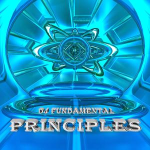 Principles