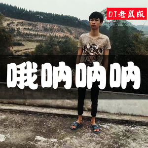 哦呐呐呐 (DJ老鼠版)