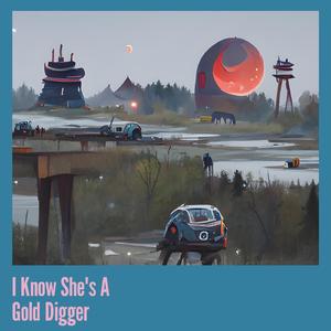 I Know She's a Gold Digger