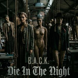 Die In The Night