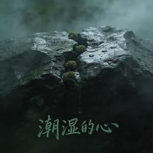 潮湿的心 (温柔男声版)