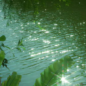 《莉莉安》Cover 宋冬野