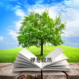 心经天地 (瑜伽)