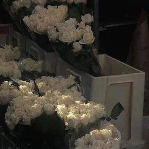 好想陪你去看海