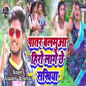Paatar Balamua Hero Lage Chhe Sakhiya
