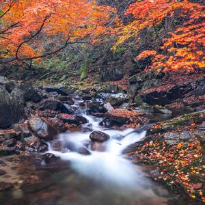 She Knows She Likes To Party