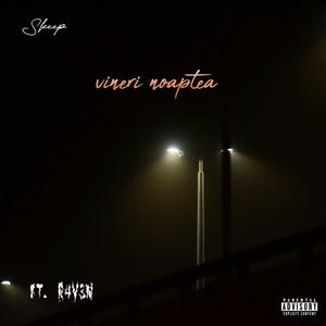 Vineri Noaptea (feat. R4V3N)