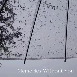 Memories Without You