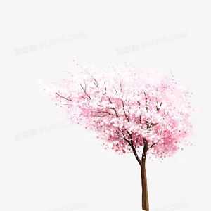 沉默