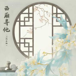 西厢寻他（Dj阿农版）