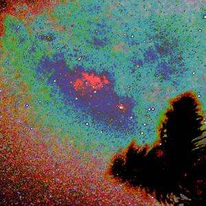 Rosebud (feat. Lil Chachi)