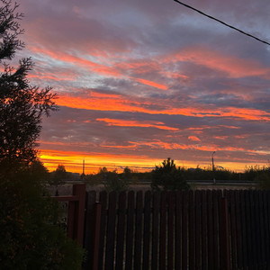 В танце сияет