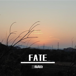 FATE-整曲 伴奏