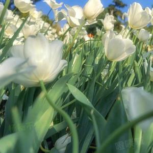 下次不要碰见我(PROD BY 房间里的大象/PROD BY GOAT CREW)