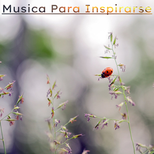 Ondas de Música Relajante