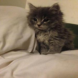 nie dostałem nic ... #losersclub