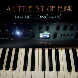 DRUMBRUTE FUNKY GROOVE