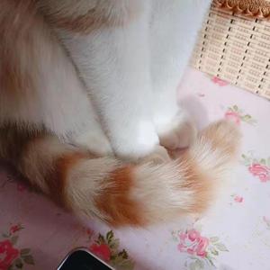 月弯弯（Prod by Life is a comedy）