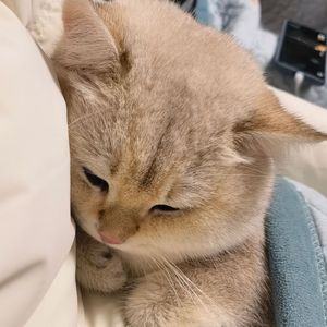 寂静之海的暗流