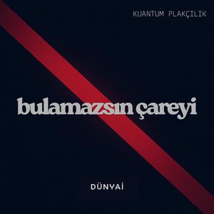 Bulamazsın Çareyi