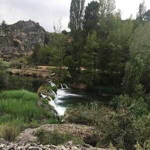 PARADOJAS
