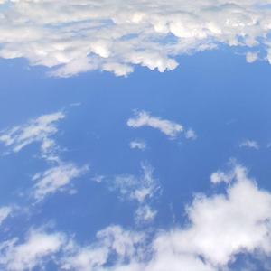 秋殇别恋（翻自 群星）