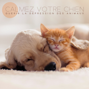 Agressivité et réduction du stress