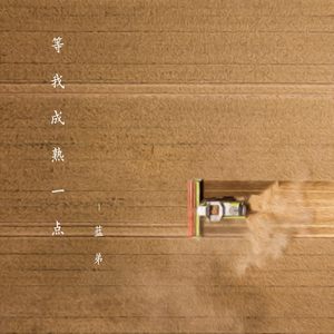 被风吹过的爱情 (伴奏)