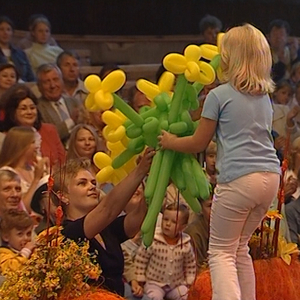 Geltonas Pienių Vainikas