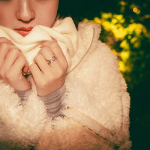 シュガーパウダー