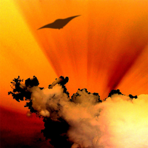 Knot of Eternity (Live)