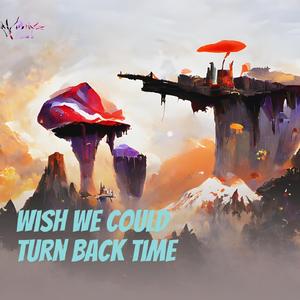 If a Picture Is All That I Have