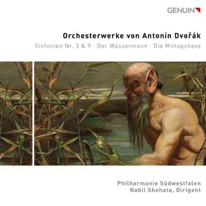 Der Wassermann, op. 107:Allegro vivo