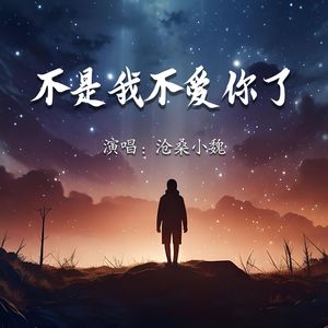 不是我不爱你了