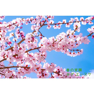 春の笑顔 (re-arrange ver.)