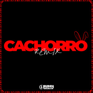 Cachorro (Remix)