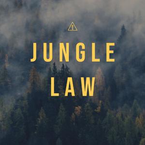 物竞天择（prod by Jingle K）