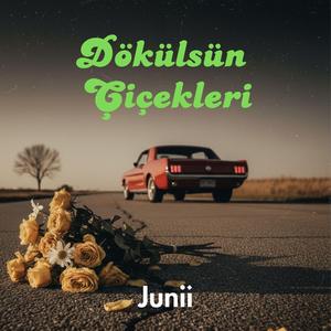 Dökülsün Çiçekleri