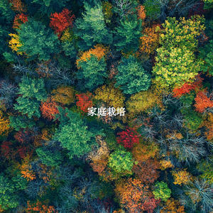 Scintillating Moods for Calming Perspectives