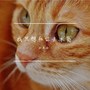 我只想和你去冰岛