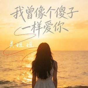 我曾像傻子一样爱你