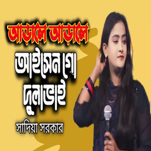 আড়ালে আড়ালে আইসেন গো দুলাভাই