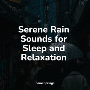 Rain Dripping from the Roof