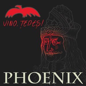 Cântec (Ștefan Și Mihai)