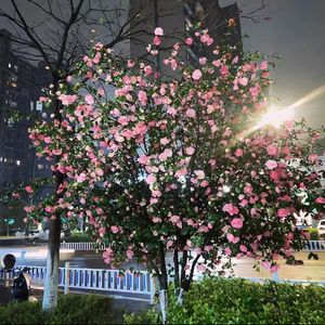 所以你睡了没