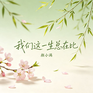 我们这一生总在比