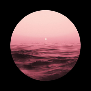 Denizin Kıyısında